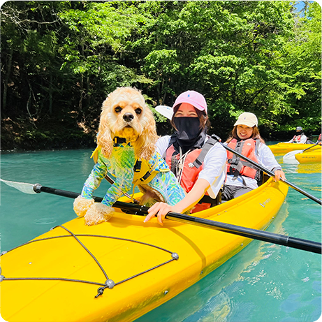 ぐりーんぴーす - 四万湖カヌーツアー「ぐりんぴーす」。元気なスタッフが丁寧にガイドします。初めての方もベテランの方も、どなたでも安心してカヌーをお楽しみいただけます。わんちゃん連れのツアーもOK！みなさまのお越しをお待ちしています  ...